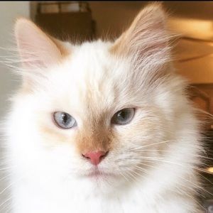 Meet your Posher, Christina